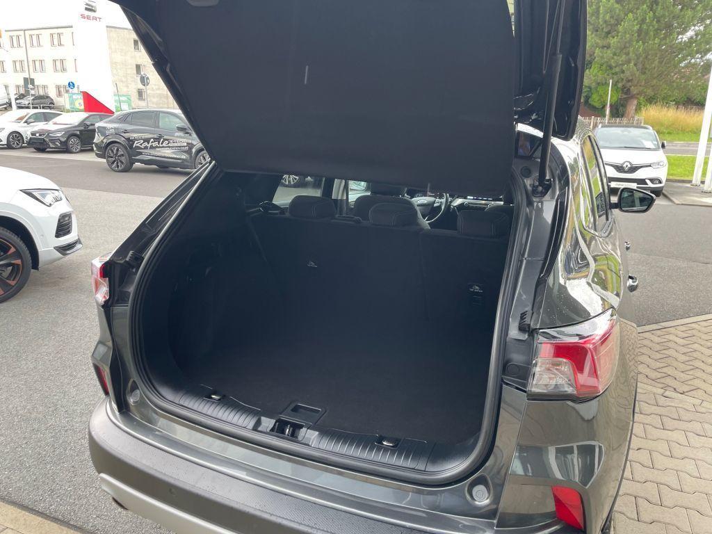 Fahrzeug-Bild 5